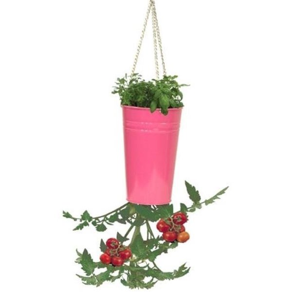 Houston International Trading Houston International Trading 8398E HPK Enameled Galvanized Upsidedown Tomato Pepper Hanging Planter; HotPink 8398E HPK